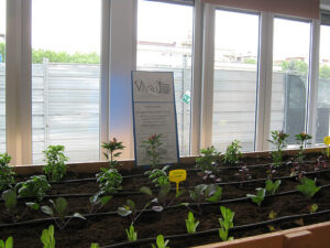 Eataly Roma ha aperto in anteprima alla stampa e noi ve lo raccontiamo