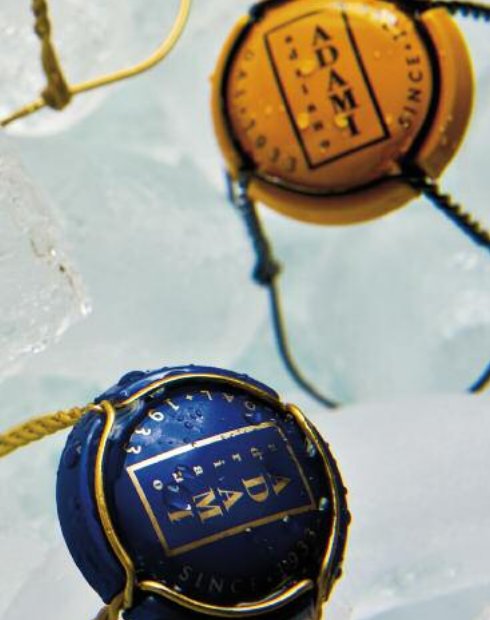 vigneto giardino adami