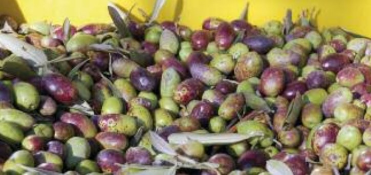 Hirpus e Orcio Sannita