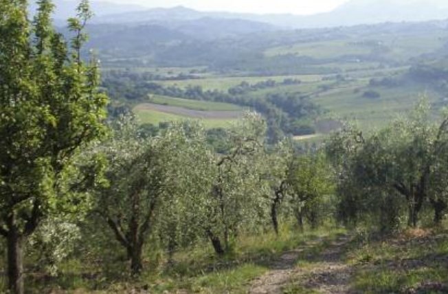 Hirpus e Orcio Sannita