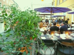 LA VI terrazza peperoncino