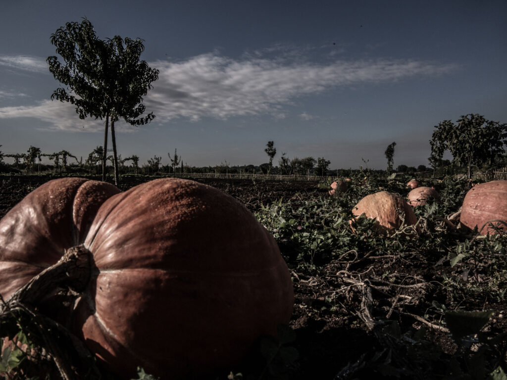 Fiorano_For_Kids4[4]_1