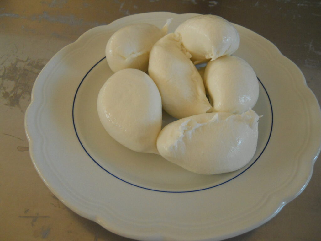 Mozzapecora