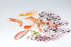 composizione_artistica