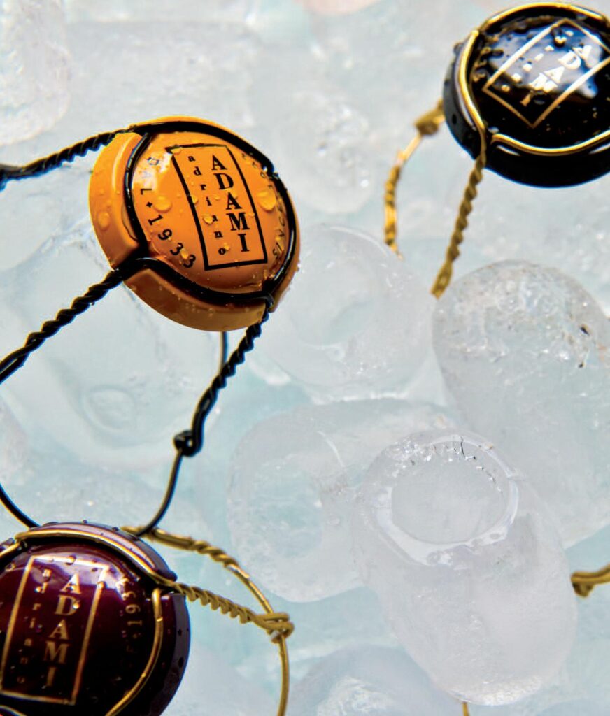 Vigneto Giardino l&rsquo;energia del luogo in bottiglia