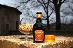 Ambrosia 750_9912 - Copia