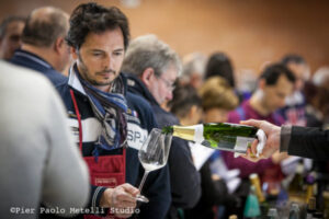 ViniVeri 2017 – Vini secondo natura 7-9 aprile  Areaexp Cerea