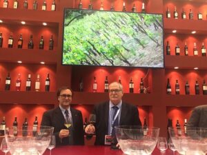 Calabria, Vini e non solo