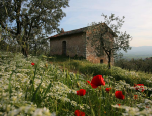 Eventi – Pic Nic a Trevi dal 22 al 25 Aprile