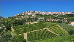 Un concorso enologico dedicato a &ldquo;Lucio Mastroberardino"