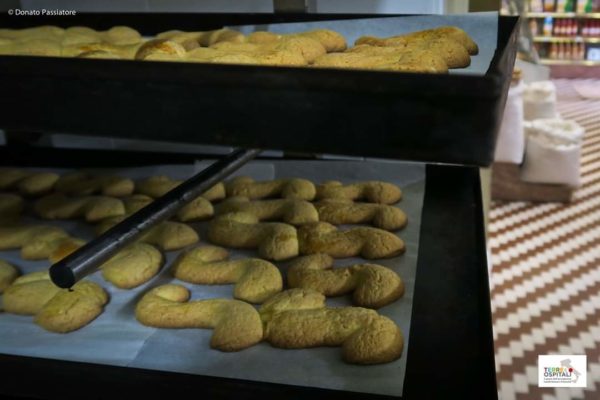 Terre Ospitali dal 1&deg; al 3 febbraio ai Castelli Romani