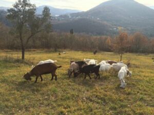 Una “cinta” in Molise