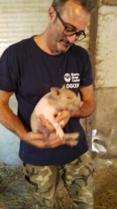 Una “cinta” in Molise