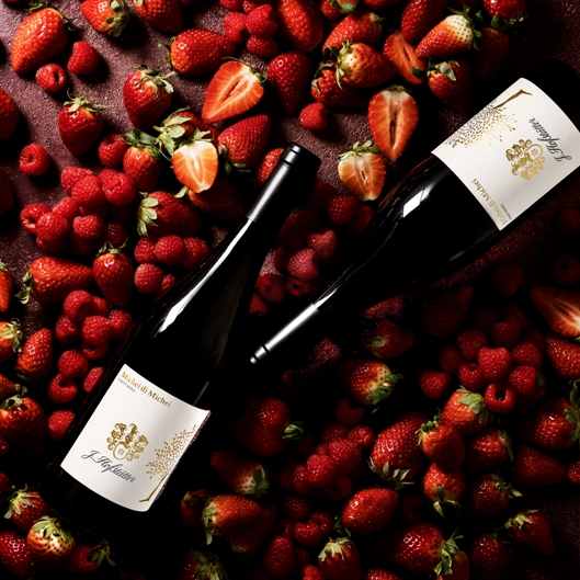 Michei di michei hofstatter