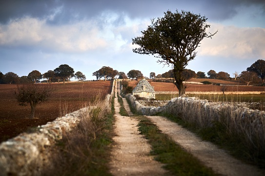 Sport e bont&agrave; con Yuniqly nella Valle d'Itria