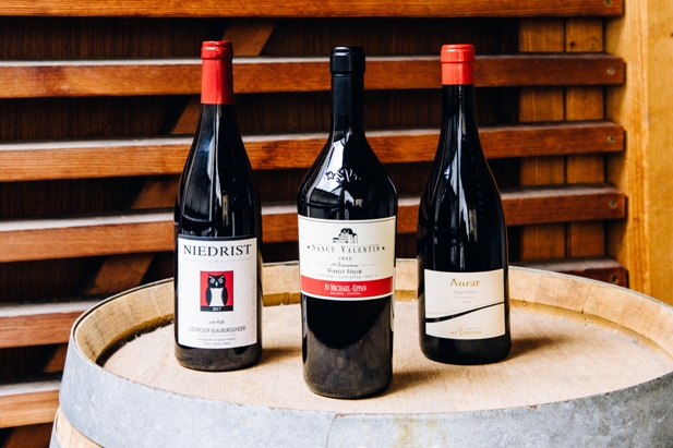 concorso pinot nero 2021