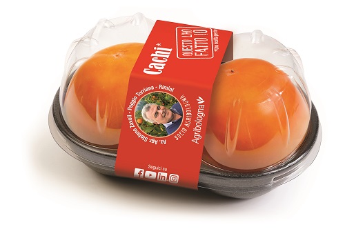 E' arrivato l'autunno &egrave; tempo di cachi!