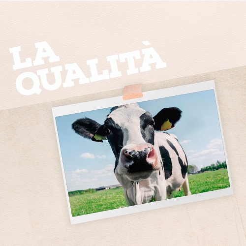 Think Milk, Taste Europe, Be Smart 