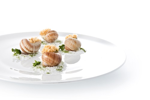 Cherasco celebra la chiocciola. Il 16 e il 17 ottobre