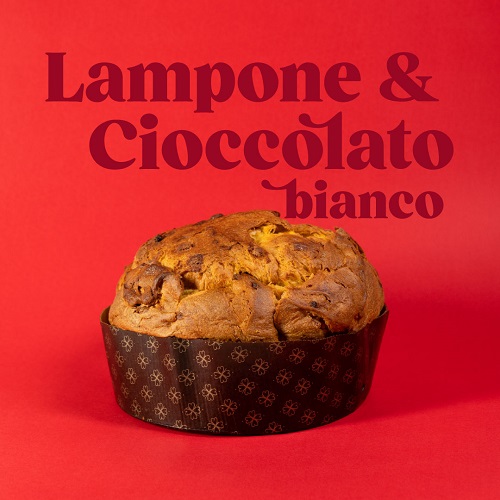 Natale 2021! Quale panettone scegliere?