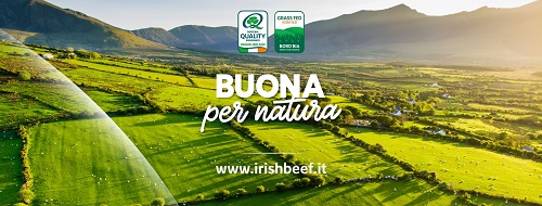 Carne irlandese Grass Fed. Carne Buona per Natura