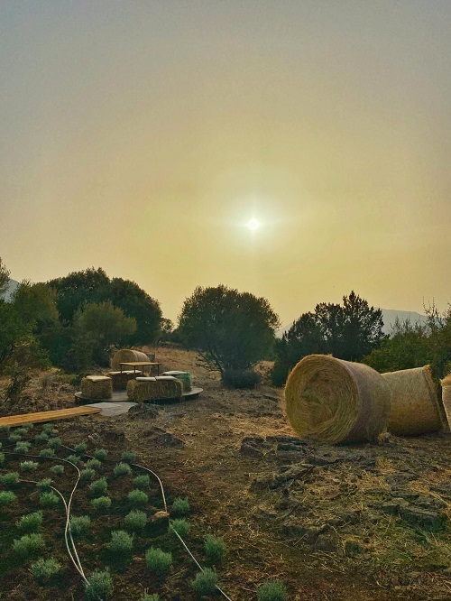 Sos Nidos. La novit&agrave; dell'hotel Su Gologone in Sardegna