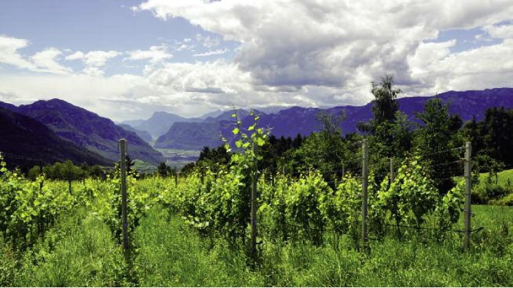 Franz Haas, il suo ricordo