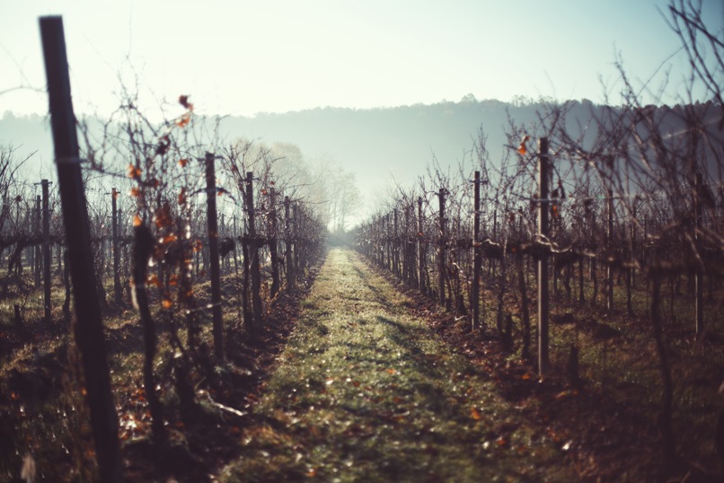 villa franciacorta tenuta il martinello