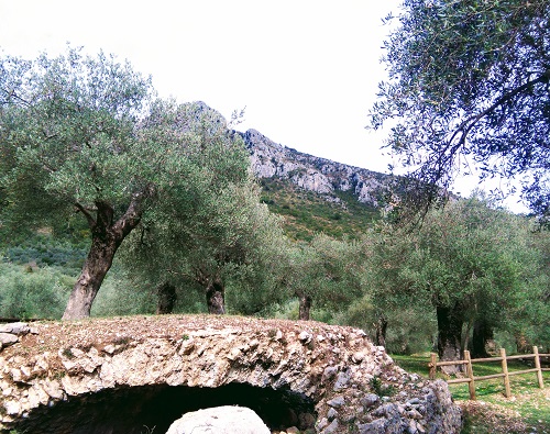 Sono 21 le esperienze dell&rsquo;olio su 105 finaliste selezionate dalla giuria di esperti