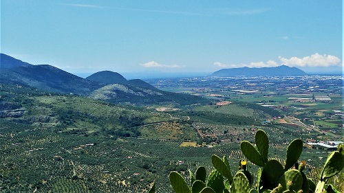 Sono 21 le esperienze dell&rsquo;olio su 105 finaliste selezionate dalla giuria di esperti