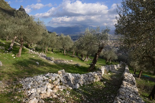 L&rsquo;Ente Parco Regionale Storico Agricolo dell&rsquo;Olivo di  Venafro ha organizzato due giornate di alto livello dedicate all'Olivicoltura mediterranea