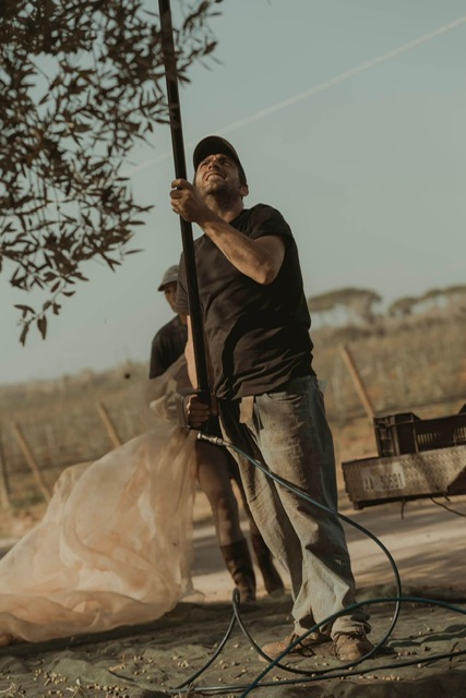 Vinitaly 2023 – Presentato Radici Virtuose