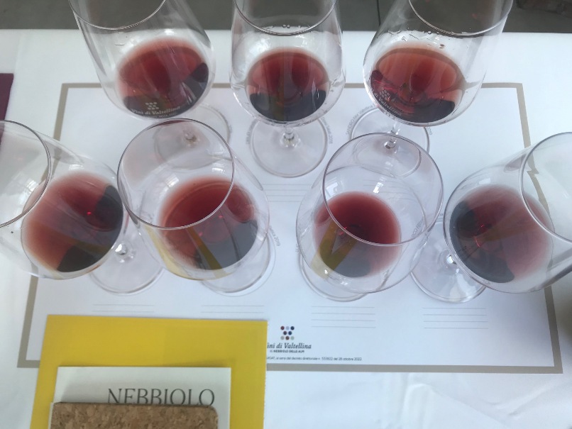 Obiettivo Valtellina, Il Nebbiolo delle Alpi si presenta