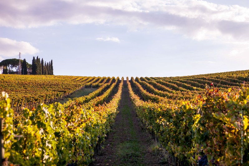 Scacciadiavoli e il metodo classico, storia e futuro