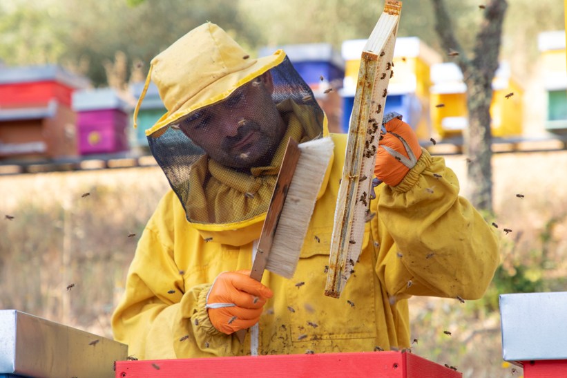 Camboi, identit&agrave; del Castello di Meleto