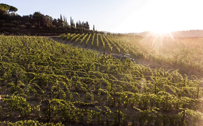 Cecchi, Villa Rosa Chianti Classico Gran Selezione in verticale