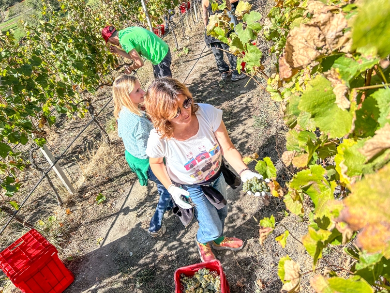 Grosjean e la sua viticoltura eroica in Valle d&rsquo;Aosta