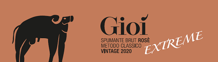 Etichetta del vino Gioì Extreme Rosé Brut 2020