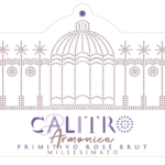 Armonica Primitivo Ros&eacute; Brut 2022