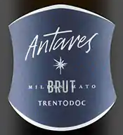 Etichetta del vino Trento Antares Brut 2019