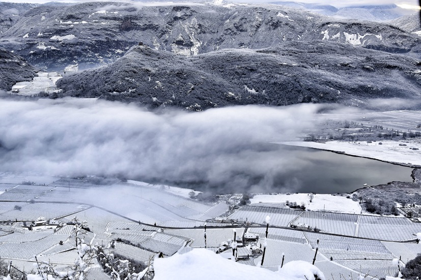 Cantina Kaltern presenta la Riserva Lagrein kunst.st&uuml;ck 2020