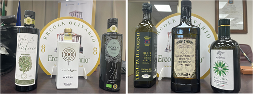 Presentata la XXXII edizione del Premio Nazionale, considerato l&rsquo;unico concorso &ldquo;istituzionale&rdquo; dedicato alle eccellenze olearie italiane