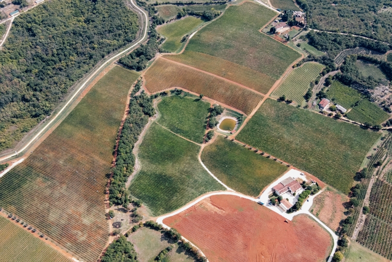 Cavazza presenta i suoi vini di Gambellara e dei Colli Berici