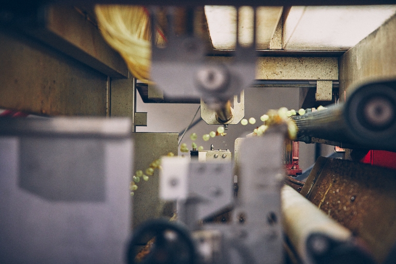 Marramiero, Chardonnay Punta di Colle in verticale