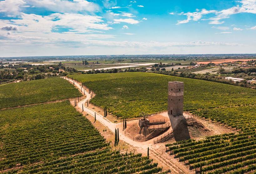 Roma Doc emerge nella tavolozza di Vinitaly 2024