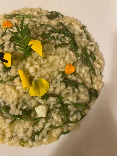 Riso, bruscandoli, kefir al dragoncello e uovo