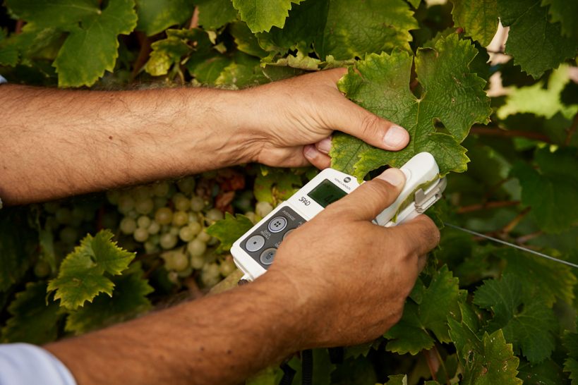Federico Giotto e i suoi Wine Listeners