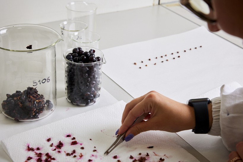 Federico Giotto e i suoi Wine Listeners