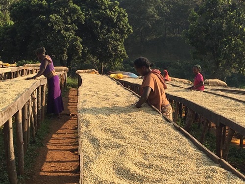 A Bererosa 2024, anche il coffee point firmato Caff&egrave; Toraldo!