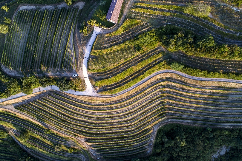 La Ponca di Scri&ograve; presenta le sue interpretazioni del Collio